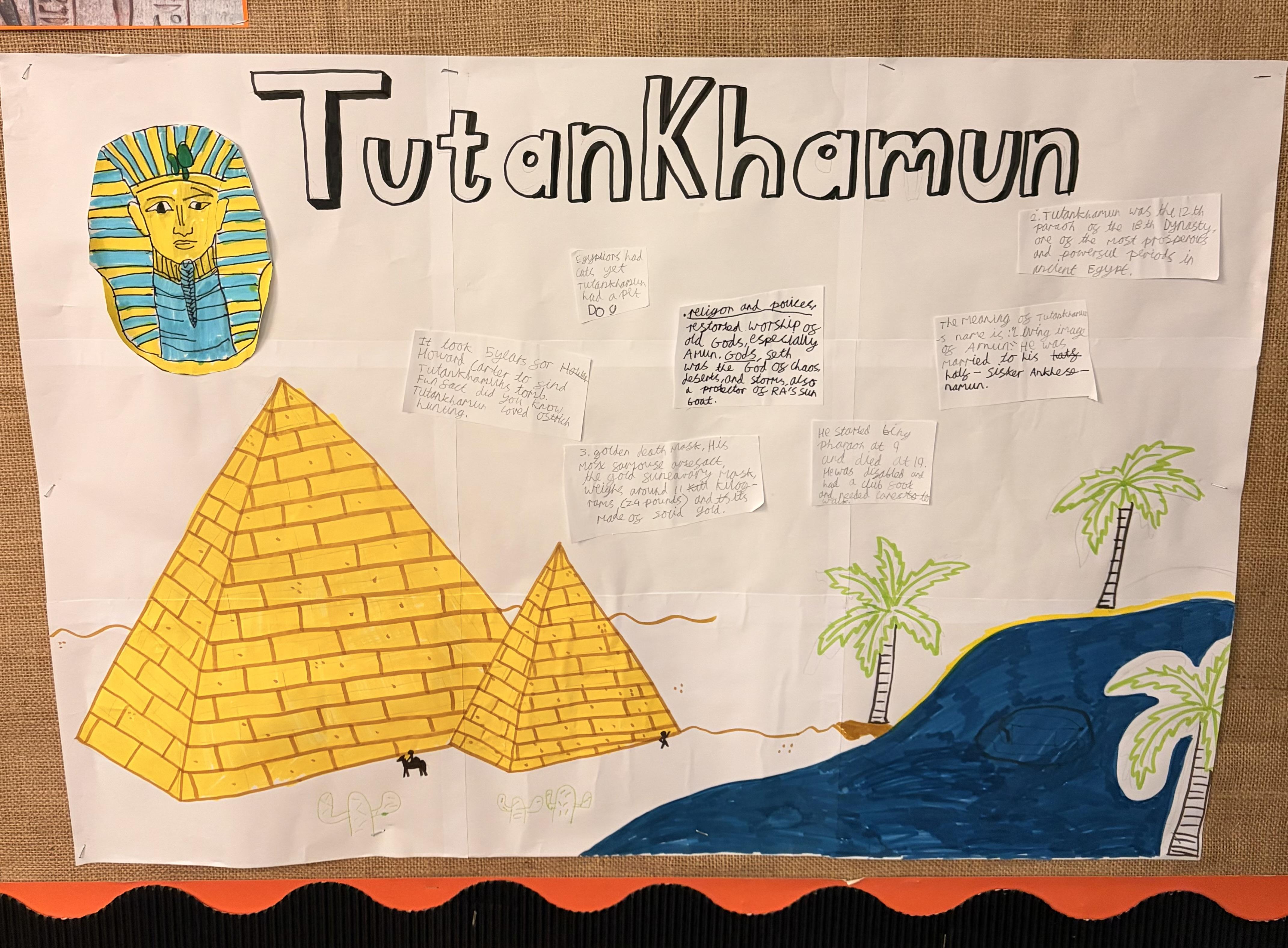 An amazing homework project made by a pupil!